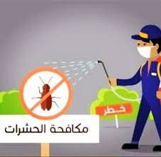 شركة مكافحة حشرات بالدمام شركة مكافحة حشرات بالدمام